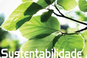http://www.prosil.com.br/sustentabilidade.php