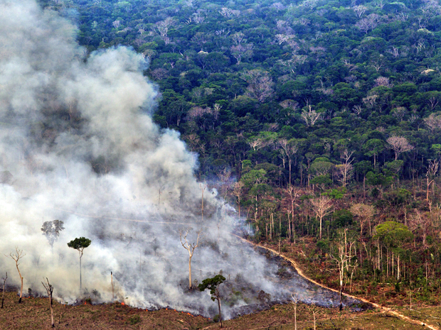 Desmatamento e queimada registrados no Sul do estado do Amazonas. Sistema de medição do Inpe detectou devastação de 385 km² em outubro de 2011. Já o estado foi resposável por derrubar cerca de 19 km² de floresta (Foto: Divulgação/Greenpeace/Marizilda Cruppe/EVE )