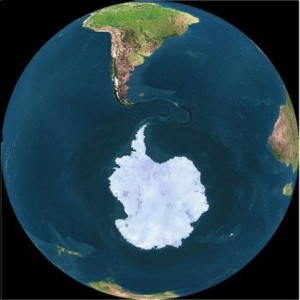 Plantas e animais de outros continentes ameaçam invadir Antártida