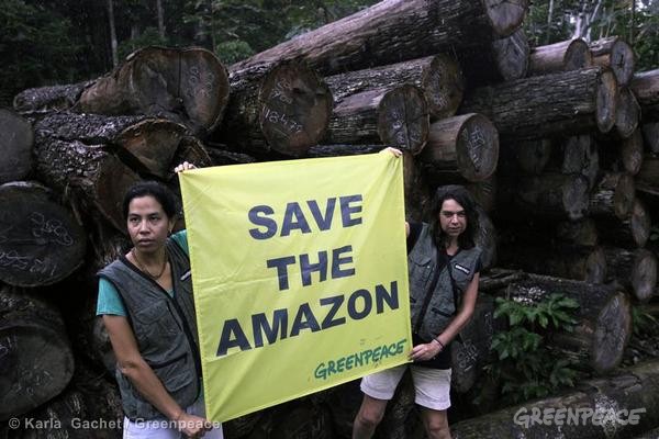 Ativistas do Greenpeace denunciaram a extração de ilegal de madeira em assentamento do Incra, a 140 quilômetros de Santarém (©Greenpeace/Karla Gachet) 