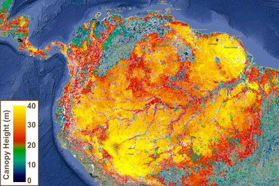 NASA atualiza mapa da altura florestal global