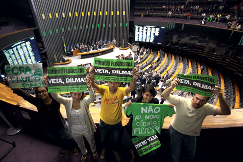 “Veta Dilma”: Presidente vai analisar polêmica aprovação do novo Código Florestal e poderá barrar itens do projeto