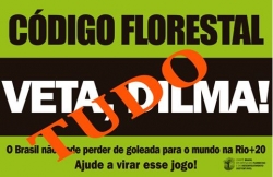 Dilma tem até dia 25 para decidir sobre Código Florestal