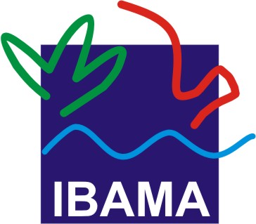 Vale recebe licença do Ibama para desenvolver seu maior projeto 