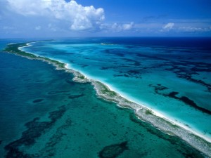Os oceanos e sua importância para os serviços ambientais 