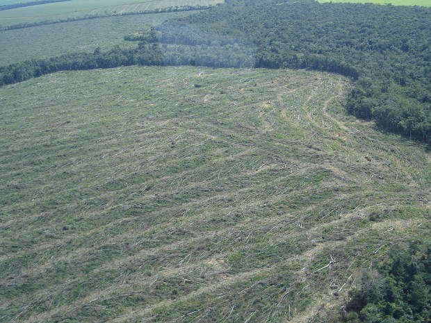 Brasil de hoje em dia ainda tem problemas com as emissões causadas pelo desmatamento (Foto: Divulgação/IBAMA) 