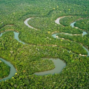 Redução de APPs compromete rios e biomas brasileiros 