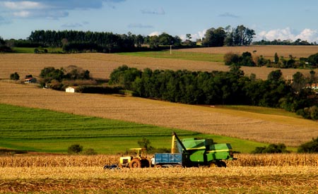 O modelo agroecológico permite a incorporação das três dimensões da sustentabilidade, a ecológica, econômica e social. Foto: Sxc.hu 