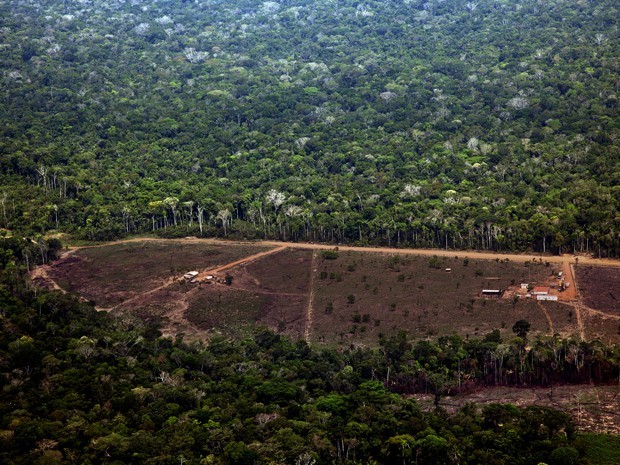 Desmatamento registrado em Porto Velho, Rondônia (Foto: Divulgação/Greenpeace/Marizilda Cruppe/EVE)