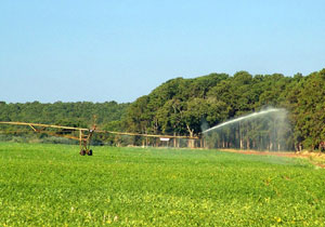 Projetos em áreas destinadas à agricultura terão R$ 5,8 bilhões para irrigação 