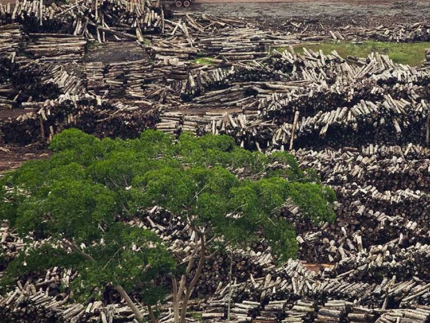 Imagem aérea de desmatamento divulgada pelo Pnuma (Foto: Divulgação/iStockphoto/Gyi/Pnuma) 