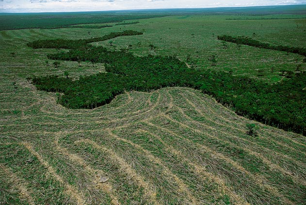 Taxa de desmatamento da Amazônia é a menor já registrada 