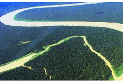 Operação bloqueia mais de 3,7 mil hectares de terra na Amazônia