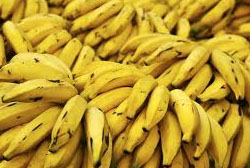 Casca de banana pode descontaminar águas poluídas, diz pesquisa