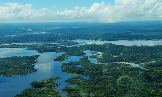 Estudo mostra que indicadores utilizados em políticas de preservação da Amazônia são pouco eficazes