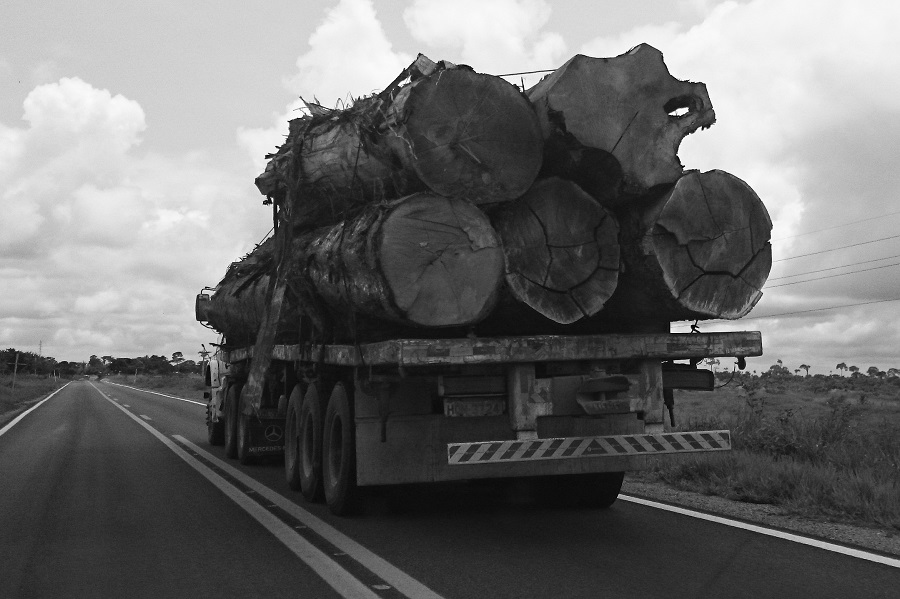 toraAcreCaminhão transporta árvores cortadas no interior do Acre. Foto: Daniel Santini