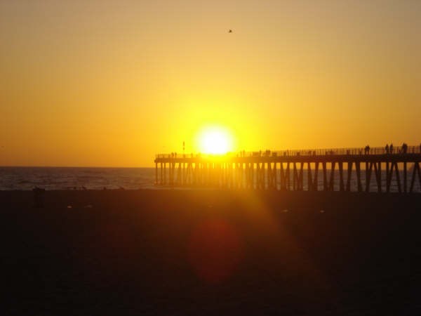 Foto: Patricia Patriota / Local, Hermosa Beach, CA