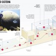 Sistema de tanques com corais simulará Atlântico mais quente e ácido. Imagine ver, em um tanque de plástico de 130 litros, como será o oceano daqui a um século. Esta […]