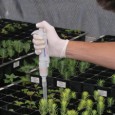 Estudo está a ser realizado na Escola Superior de Biotecnologia (Universidade Católica, Porto) A introdução de fungos nas árvores a plantar depois de um incêndio pode ser uma das soluções […]