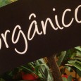 O que são Os alimentos orgânicos são aqueles que utilizam, em todos seus processos de produção, técnicas que respeitam o meio ambiente e visam a qualidade do alimento. Desta forma, […]