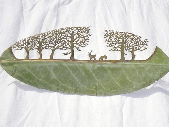 Nas mãos do artista espanhol Lorenzo Durán, as folhas podem ganhar contornos bem distintos daqueles que herdaram da natureza. Usando uma técnica oriental, bastante disseminada na China e no Japão, […]