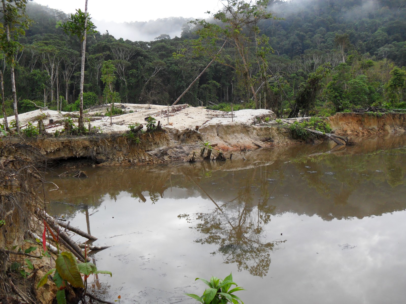 PF prende 26 em operação para reprimir garimpo ilegal em terra yanomami