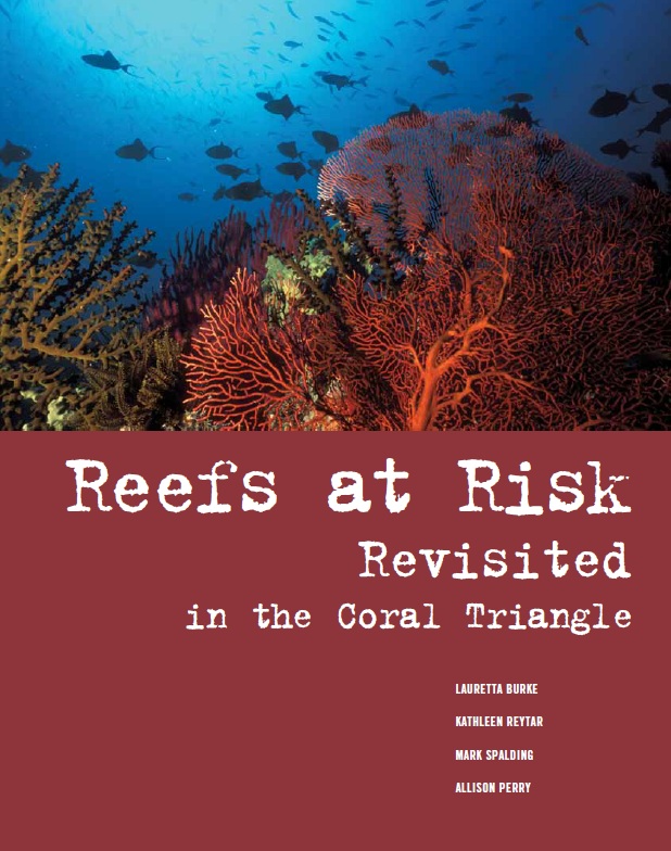 85% dos recifes do Triângulo de Corais estão ameaçados
