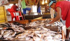 Governo vai investir R$ 4,1 bilhões na produção de pescado