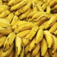 Um estudo da USP identificou que a casca de banana pode ser utilizada no tratamento de água contaminada pelos pesticidas atrazina e ametrina. Pesquisadores do Centro de Energia Nuclear na […]