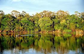 Alertas de desmatamento na Amazônia Legal sobem 26% em seis meses