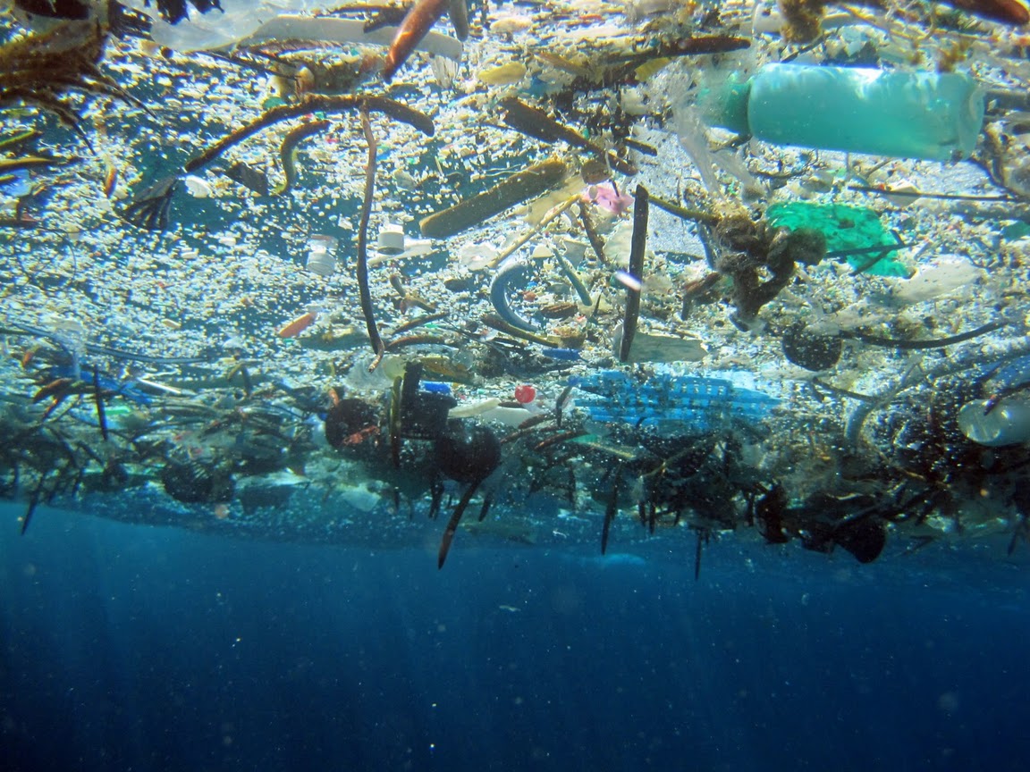 Microplásticos: um problema para os oceanos