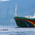O maior navio do Greenpeace, que pela primeira vez se encontra em águas brasileiras para a expedição inédita em busca dos corais ocultos da Amazônia, sempre buscou reduzir ao mínimo […]