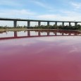 A água de um lago australiano se tingiu de rosa, um fenômeno natural causado pelo alto nível de sal e pelas altas temperaturas, anunciaram nesta quinta-feira seus responsáveis. “O rosa […]