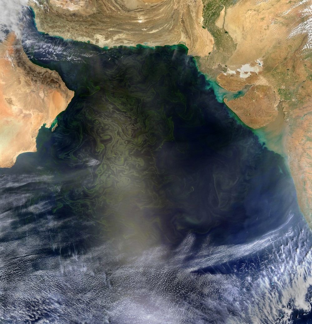 Proliferação de algas forma manchas verdes gigantes no Mar Arábico