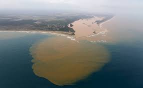 Bacia do Rio Doce tem 500 nascentes recuperadas
