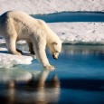 Após um ano de 2016 com temperaturas em nível recorde no qual a banquisa (água do mar congelada) no Ártico seguiu minguando e o nível do mar subindo, as Nações […]