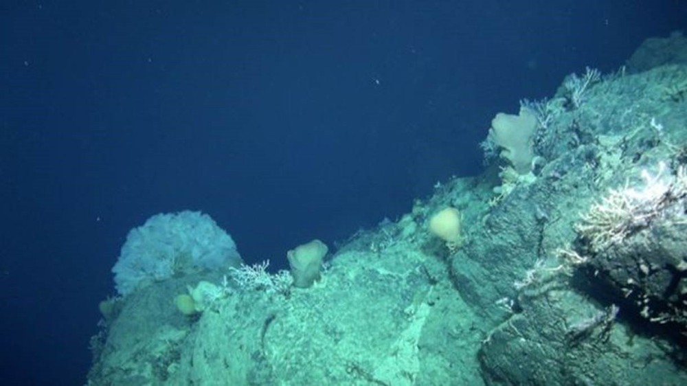O tesouro em minerais raros encontrado em montanha submarina no Oceano Atlântico
