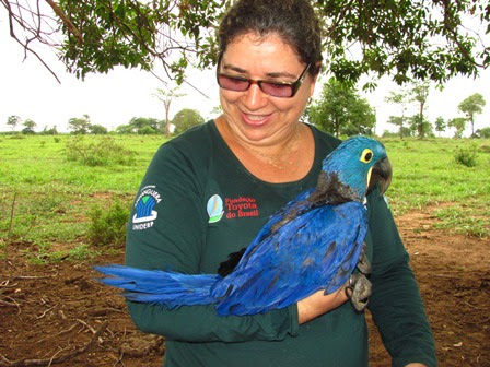 Projeto Arara Azul é finalista em Prêmio Nacional da Biodiversidade
