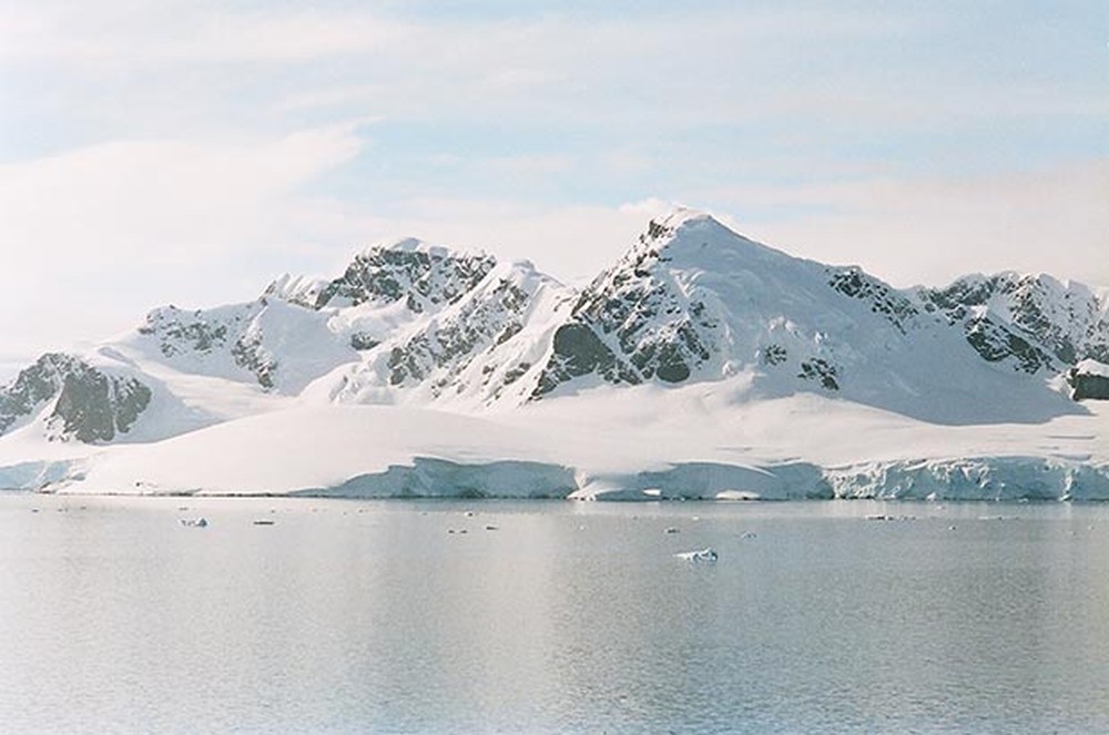 Antártica está mais verde devido ao aquecimento global, dizem cientistas