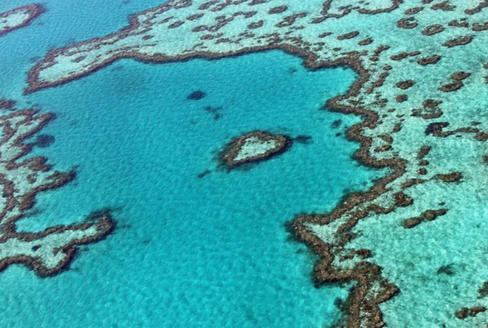 Grande Barreira de Coral perdeu um terço da área em um ano, alerta governo australiano
