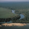 O desmatamento na Amazônia cresceu 13,7% entre agosto de 2017 e julho de 2018, segundo os ministérios do Meio Ambiente e Ciência, Tecnologia, Inovações e Comunicações. A área desmatada é […]