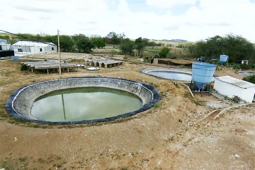 Bolsonaro e a dessalinização da água