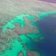 Com 500 metros de altura, estrutura ‘semelhante a uma lâmina’ foi descoberta na Grande Barreira de Corais da Austrália. Um recife de coral enorme foi encontrado na extremidade norte da […]