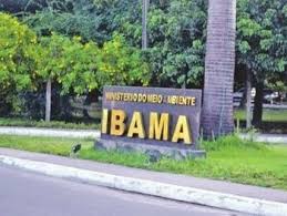 Nomeados para cargos de gestão no Ibama não têm qualificação na área, dizem técnicos do TCU
