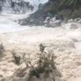 Mau tempo e ventos fortes produziram uma grossa camada de espuma que invadiu o litoral de Queensland, no nordeste australiano. Especialistas alertam para o risco de ataques de serpentes do […]
