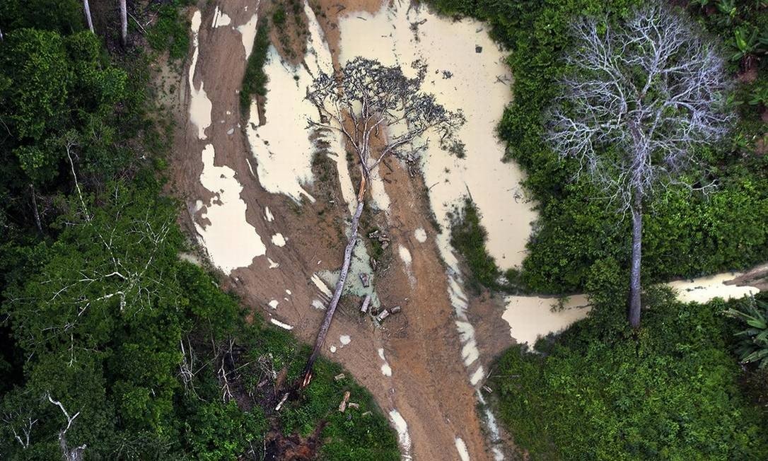 Ex-autoridades de clima dos EUA exortam Biden a pressionar Brasil por desmatamento na Amazônia
