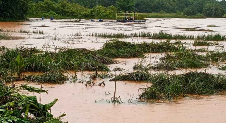 Com rio Tromaí poluído, famílias seguem sem ajuda emergencial após rompimento no Maranhão