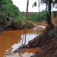Ruptura de barreira em mina de ouro devastou rio Tromaí e deixou centenas de famílias sem água. Ninguém ficou sabendo. O que isso revela sobre a comunicação contemporânea e sobre […]