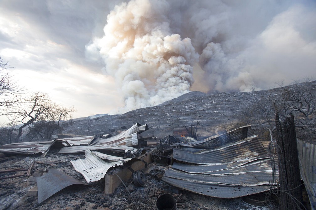 Casal responderá na Justiça americana por chá de revelação que causou incêndio florestal na Califórnia