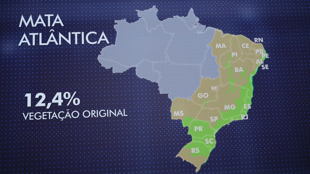 Brasil tem apenas 12,4% da vegetação original da Mata Atlântica, aponta relatório